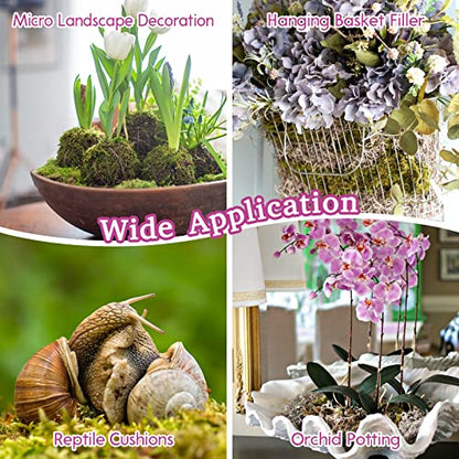 Riare 1.1 LBS Premium Sphagnum Moss- Natural Long Fibered Sphagnum Peat Moss Plants Moss Dried, Carnivorous Plants Moss Orchid Potting Mix for Orchids, Succulent, Reptiles (20QT) - size: 20QT/1.1lbs