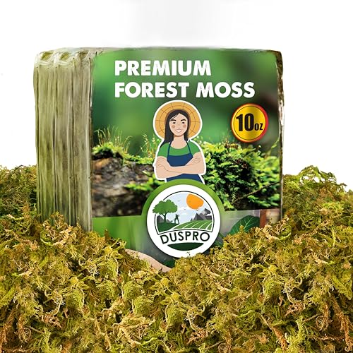 DUSPRO 10oz Dried Forest Moss for Potted Plants, Ideal for Orchid Moss Potting Mix Indoor Moisture Repotting Orchid Soil Medium, Terrarium Decor, Natural Reptile Vine - color: 10 OZ