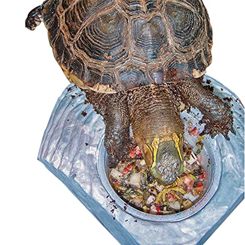 Healthy Herp Box Turtle Food Instant Meal for Reptiles - Nutritious Turtle Food, Tortoise Habitat Accessories - Made in USA - for Box Turtles, Lizards, Tortoises - Variety Pack (14 Cups & 1 Dish) - size: 2.65 Ounce (Pack of 1), style: 14-Pack Cups