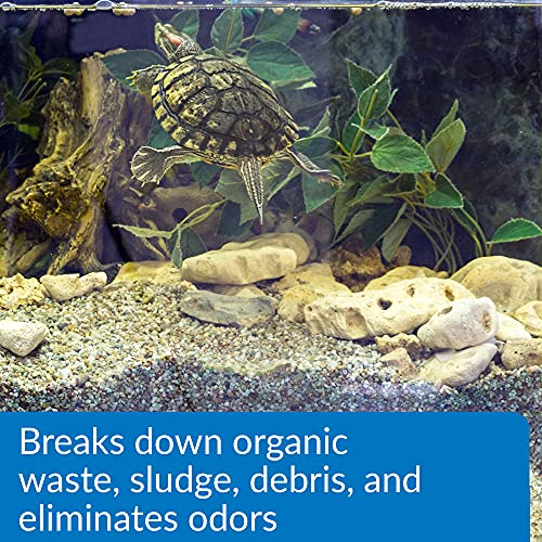 Fluker's 70131 Buffet Blend Aquatic Formula Turtle Food, 12oz and API Turtle Sludge Destroyer Aquarium Cleaner and Sludge Remover Treatment 8-Ounce Bottle Bundle