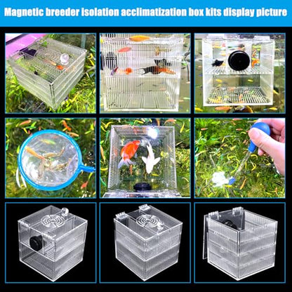 Magnetic Fish Breeder Box for Isolation Boxes Acclimation Hatchery breeding Incubator for Guppy Baby Betta Shrimp Saltwater Clownfish Coral Anemones Aggressive or Injured Fishes