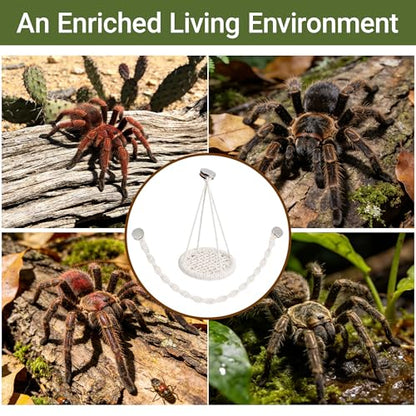 Jumping Spider Enclosure Decor with Strong Magnetic Attachments | Crafted from soft woven cotton for acrylic terrariums. This 10.6-inch rope bridge provides safe arboreal climbing play.