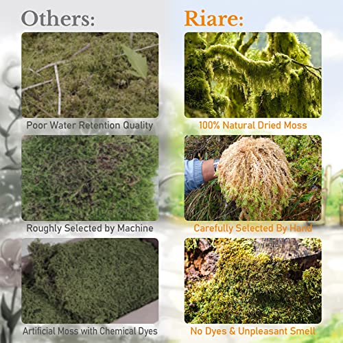 Riare 10 OZ Premium Sphagnum Moss- Natural Long Fibered Sphagnum Peat Moss Plants Moss Dried, Carnivorous Plants Moss Orchid Potting Mix for Orchids, Carnivorous Plants, Succulent (12QT) - size: 12QT/10oz