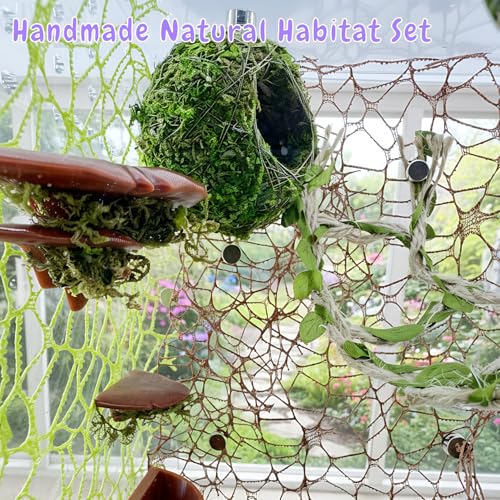 Jumping Spider Hideout, Habitat Decor— Handmade Moss Hideout & Hemp Rope Bridge, Fun Enclosure Accessories for Climbing & Hiding