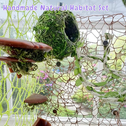Jumping Spider Hideout, Habitat Decor— Handmade Moss Hideout & Hemp Rope Bridge, Fun Enclosure Accessories for Climbing & Hiding