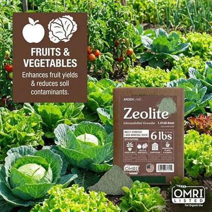 Zeolite Granular 6 lbs, Clinoptilolite 1.4-4 mm, Soil Amendment for Plants, Succulents and Bonsai, Improves Drainage and Odor Control, Aquarium Filter Media - style: Granular - 6 lbs