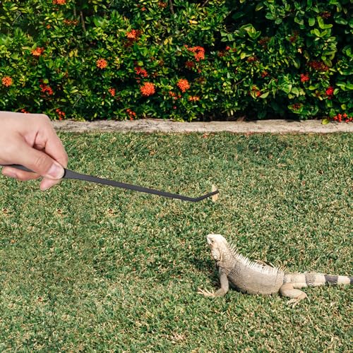 2 Pcs Extra Long Reptile Feeding Tongs, 10.6" Long Tweezers Straight and Curved Feed Tong Clamps Stainless Steel Terrarium Feeder Tool for Lizards Bearded Dragon Aquarium Snake Enclosure Tank