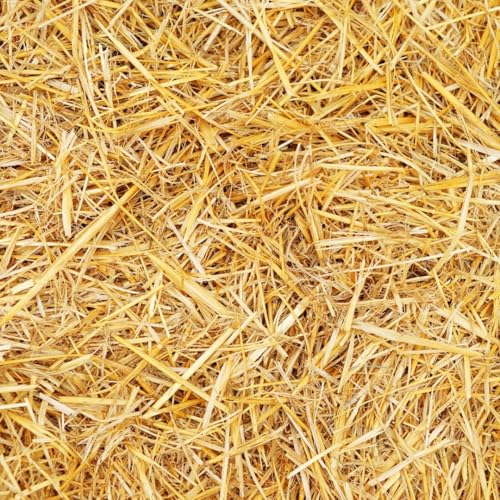 Premium Wheat Straw Growing Substrate – Clean, Dried & Chopped – Ideal for Mushroom Cultivation, Garden Mulch, Worm Bedding & Composting (2 Pounds) - size: 2 Pounds