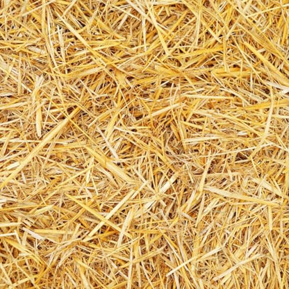 Premium Wheat Straw Growing Substrate – Clean, Dried & Chopped – Ideal for Mushroom Cultivation, Garden Mulch, Worm Bedding & Composting (12 Ounces) - size: 12 Ounces
