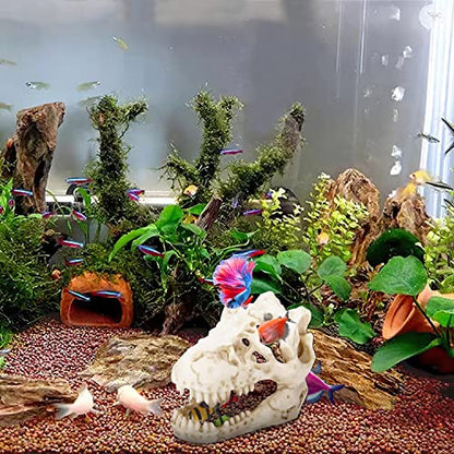 2Pcs Aquarium Decoration Dinosaur Skull Skeleton Fish Tank Cave Pet Reptile | Desert Reptile Bearded Dragon Snake Tank Decor Hideaway for Fish Natural Look Fun Underwater Environment