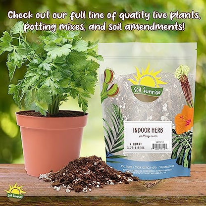 Soil Sunrise Coco Peat Perlite Potting Mix (4 Quarts) Loose Coconut Coir and Perlite