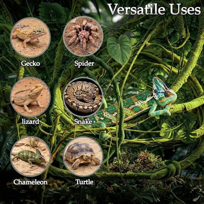 Reptile Plants 10 Pcs Terrarium Hanging Plant Vines Jungle Climbing Vines Tank Accessories Decorations with Suction Cups for Bearded Dragon Lizard Snake Geckos Chameleon