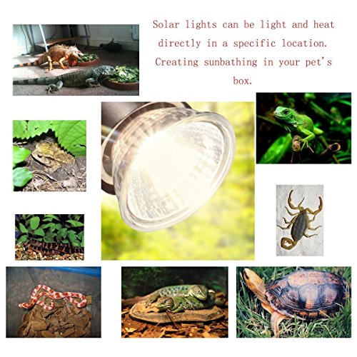 25W UVA+UVB Reptile Bulbs(4 Pack)- 110V Lizard Lamp Heating Lamp Spot Lamp for Turtle Aquarium Aquatic Reptile Lizard Habitat Heat Light
