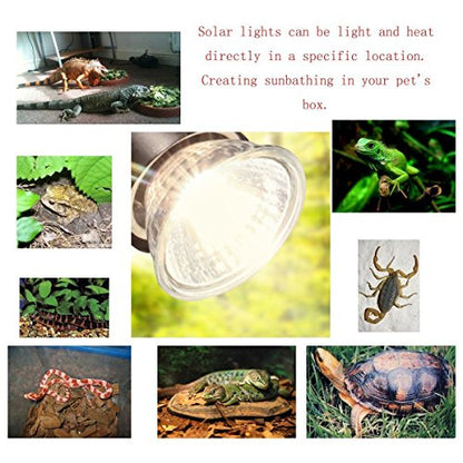 25W UVA+UVB Reptile Bulbs(4 Pack)- 110V Lizard Lamp Heating Lamp Spot Lamp for Turtle Aquarium Aquatic Reptile Lizard Habitat Heat Light