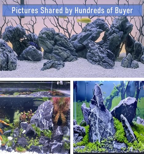 10lLBS Aquarium Rocks Seiryu Stone Natural Hardscape Stone for DIY Aquariums, Fish Tanks, Bonsai, Terrariums, Paludarium Amphibian Enclosures (10Lb (3-8 inch), Seiryu Stone) - size: 10Lb (3-8 inch)