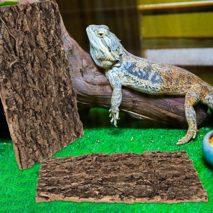 Homoyoyo 2Pcs Reptile Bark Decor Wood,Natural Cork Bark,Reptile Habitat Climbing Tree Bark Terrarium Landscaping Tree Bark Tree for Bearded Dragon Lizard Geckos Tortoise Random Shape