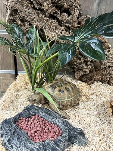 Komodo Complete Holistic Tortoise Diet Dandelion 680 g