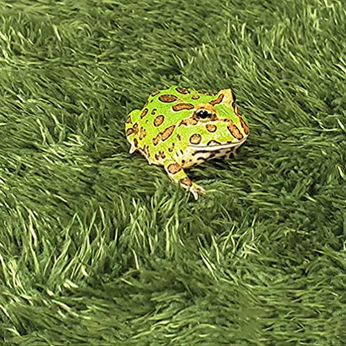 balacoo Simulation Reptile Moss Carpet for Tortoise Habitat Green Home Terrarium Liner Premium Mat for Reptiles Moisture Retaining Pet Carpet for Crawl Pets and Amphibians