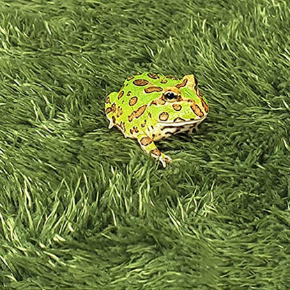 balacoo Simulation Reptile Moss Carpet for Tortoise Habitat Green Home Terrarium Liner Premium Mat for Reptiles Moisture Retaining Pet Carpet for Crawl Pets and Amphibians