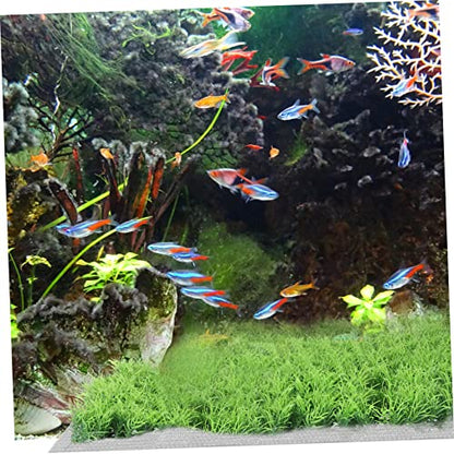 BESTonZON 10Pcs Stainless Steel Grass Plant Net for Aquarium Moss Fixed Mesh Rust-Resistant Fish Tank Accessory