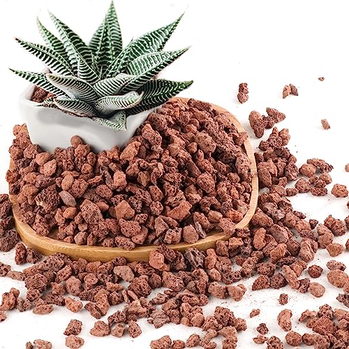 2.4LB Red Lava Rocks for Plants, Volcanic Rock Horticultural Lava Rock Soil for Landscaping Plants Drainage, Small Lava Rock Gravel for Succulents, Bonsai, Vase Fillers, Terrarium Plants, Top Dressing - color: Red, size: 2.4lb