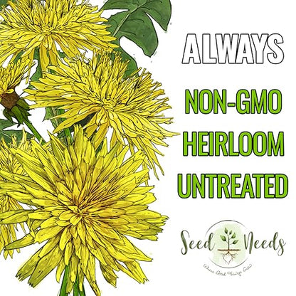 Seed Needs Dandelion Seeds to Plant Heirloom & Non-GMO Herbs 5 Packs - size: 5 Packs, style: Common Dandelion