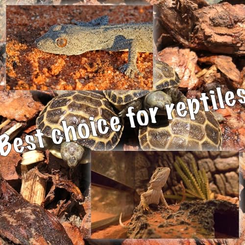 Reptile Red Heat Lamp, 2-Pack 75W Infrared Basking Bulbs Light for Reptiles, Night Red Basking Light for Bearded Dragon, Lizard, Gecko,Turtle Tank Accessories - color: 2-pack Night Heat Bulb
