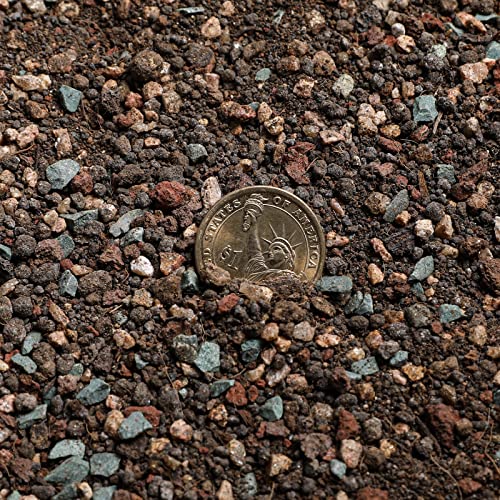 Doter Succulent and Cactus Soil Potting Mix 1.1 LBS, Bonsai Soil Mix Ready to Use, Fast Draining with Added Nutrients - size: 1.1 lbs