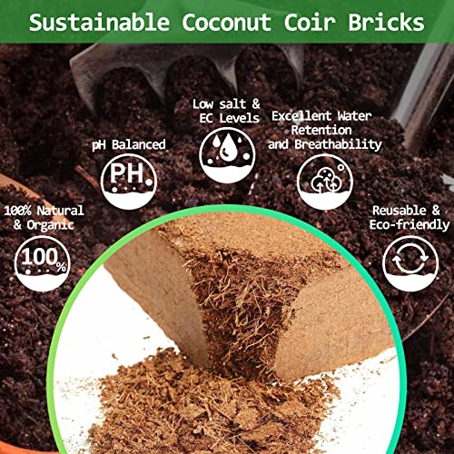 Riare 12pcs Organic Coco Coir Bricks Soil Blocks- 100% Natural Compressed Coco Peat Brick Coconut Fiber Substrate with Low EC& pH Balance, High Expansion Coco Coir Pith Coconut Husk for Garden - color: Pack of 12