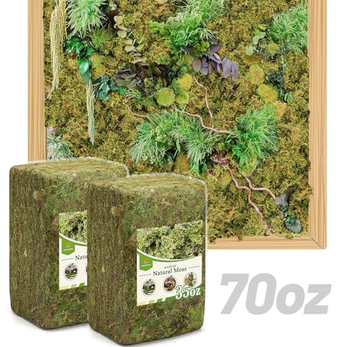 70oz Jumbo Pack Natural Green Moss for Crafts - Bulk Moss for Plants Indoor, Artificial Fairy Gardens, Mosswall, Filling Fake Plants, Floral Design, Home Decoration, Professional DIY Use - color: 70 oz