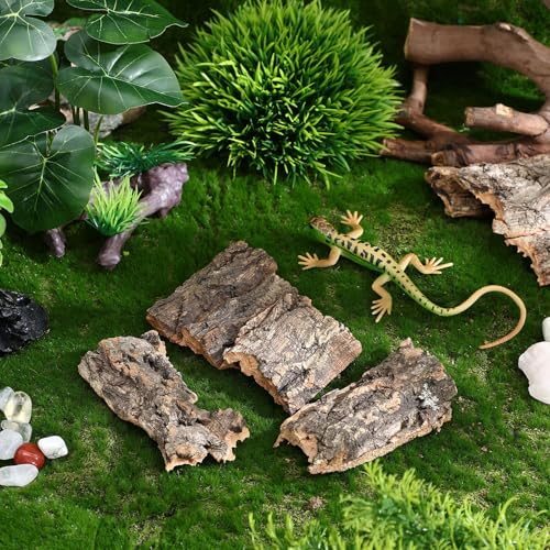 KESYOO 10pcs Reptile Tree Bark Platforms Turtle Basking Platforms Terrarium Decor Climbing Hides for Reptile Habitat