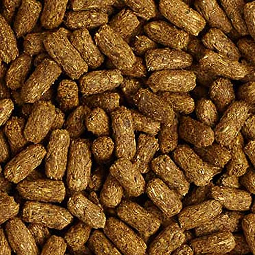 Mazuri Low Starch Tortoise Diet, for African Spurred/Sulcata, Desert, Egyptian, Galapagos, Gopher, Greek, Leopard, Pancake, Radiated or Yellow-Footed Tortoise, 12 oz - size: 12 Ounce (Pack of 1)