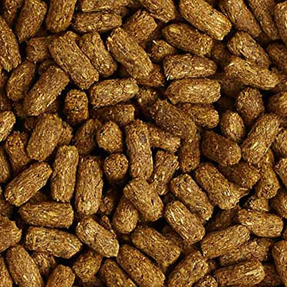 Mazuri Low Starch Tortoise Diet, for African Spurred/Sulcata, Desert, Egyptian, Galapagos, Gopher, Greek, Leopard, Pancake, Radiated or Yellow-Footed Tortoise, 12 oz - size: 12 Ounce (Pack of 1)