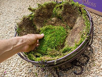 SuperMoss (21588) Sheet Moss Preserved, Natural, 5 Pounds (20-24 sq. ft.) - color: Natural Dried, size: 20-24 sq. ft. Bulk (Appx. 3.5 lbs)