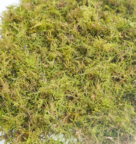 4oz Hermit Crab Moss Substrate, Perfect for Terrarium Habitat Decor& Tank Accessories, Humidity Control & Small Pet Enclosure Supplies