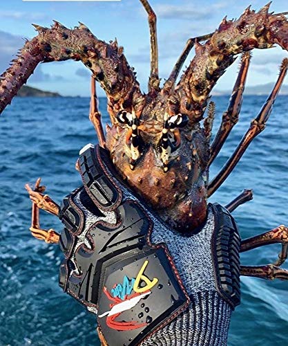 D Vein Lobster Diving Gloves, Cut & Puncture Resistant for Spearfishing - size: Small