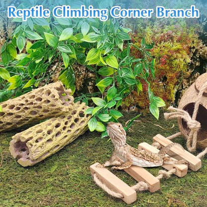 kathson Resin Cholla Wood Aquarium Shrimp Hideout Fake Fish Tank Hollow Log Hideawy Reptile Climbing Corner Branch Hermit Crab Terrarium Ornament Decoration (3 Packs)
