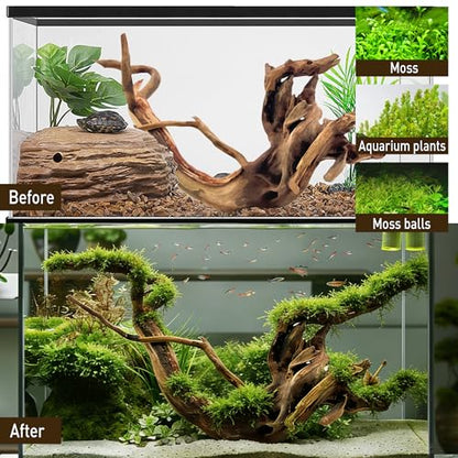 Kaiyuan Dynasty Natural Driftwood for Aquarium Sinkable Driftwood for Reptile Terrariums Fish Tank Decorations 12-16",About 1.5 lbs