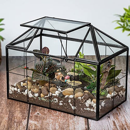 Ferrisland Glass Terrarium Greenhouse House Shape Display Box Planter for Succulents Plant Terrarium Container Mordern Tabletop Decor Gardern DIY Kit - size: 9.1"L x 7.3"H 5.4"W