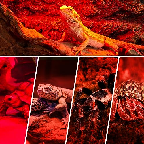 REPTI ZOO Reptile 50W Infrared Heat Lamp Bulb,2 Pack Infrared Basking Spot Light for Reptiles & Amphibian,Bearded Dragon,Leopard Gecko,Turtle,Lizard,Chickens | Pet Brooders Night Heat Lamp - style: 50W/Infrared Lamp