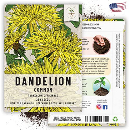 Seed Needs Dandelion Seeds to Plant Heirloom & Non-GMO Herbs 2 Packs - size: 2 Packs, style: Common Dandelion