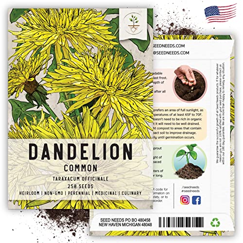 Seed Needs Dandelion Seeds to Plant Heirloom & Non-GMO Herbs 2 Packs - size: 2 Packs, style: Common Dandelion