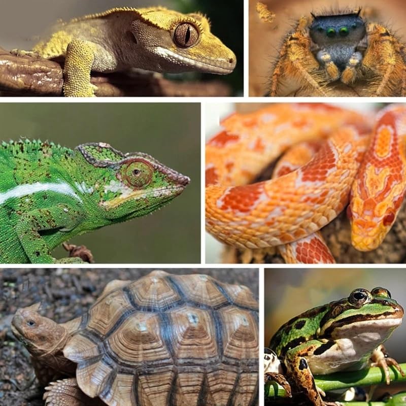 9.4" Realistic Branches Climbing Terrarium Aquarium Driftwood Crafts Snake Branch Reptile Resin Climb Tree Habitat Decoration for Gecko Dragon Frog Tortoise Chameleon Fish Tank Pet Supplies