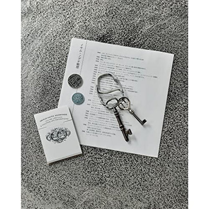 Craighill Coachwhip Carabiner - 2.4” Keychain Clip, Modern Minimalist Keyring for Car Keys & Accessories, Heavy Duty, Lightweight, S Shape Hook - style: Stainless steel