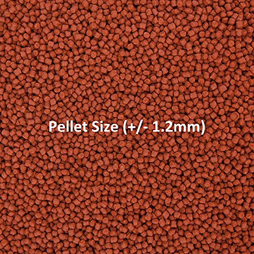 Ocean Nutrition Formula One Pellets 3.5-Ounces (100 Grams) Jar - Small Pellet Size - size: 3.5 Ounce (Pack of 1), style: Small Pellet