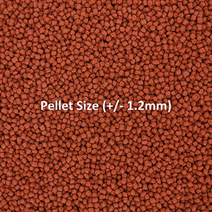 Ocean Nutrition Formula One Pellets 3.5-Ounces (100 Grams) Jar - Small Pellet Size - size: 3.5 Ounce (Pack of 1), style: Small Pellet