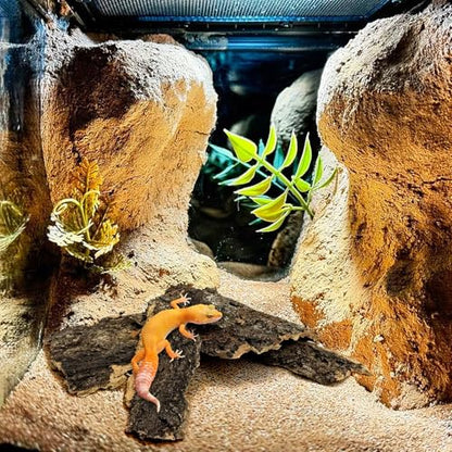VCEPJH 2 Pack Reptile Wood Branches, Snake Climbing Branch and Cork Bark for Reptiles, 4 Pcs Natural Cork Flats for Snakes Spiders Bearded Dragons