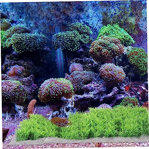 Abaodam 10pcs Stainless Steel Aquatic Moss Mesh for Fish Tank Planting Plant Fixed Net for Aquarium Accessories Easy to Install and
