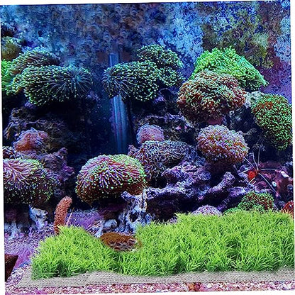 Abaodam 10pcs Stainless Steel Aquatic Moss Mesh for Fish Tank Planting Plant Fixed Net for Aquarium Accessories Easy to Install and