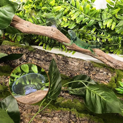 Reptile Climbing Stick – Flexible Snake Climbing Branch, Natural Tank Decor Vine | Terrarium Setup Branch Decoration, Habitat Enrichment for Tree Frogs, Lizards, Geckos, Chameleons, Iguanas